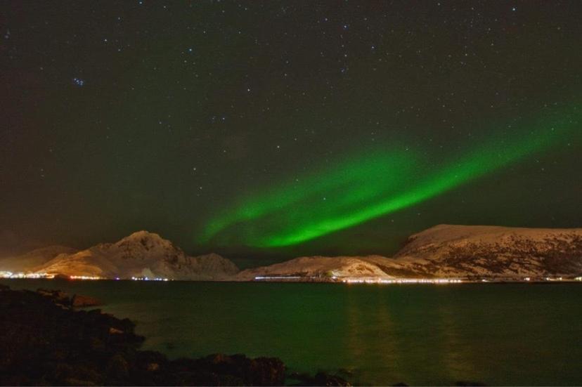 Rorbu I Lofoten Villa Leknes Dış mekan fotoğraf