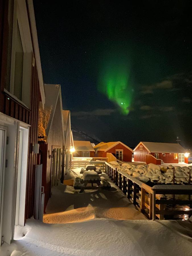 Rorbu I Lofoten Villa Leknes Dış mekan fotoğraf