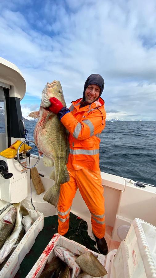 Rorbu I Lofoten Leknes Dış mekan fotoğraf